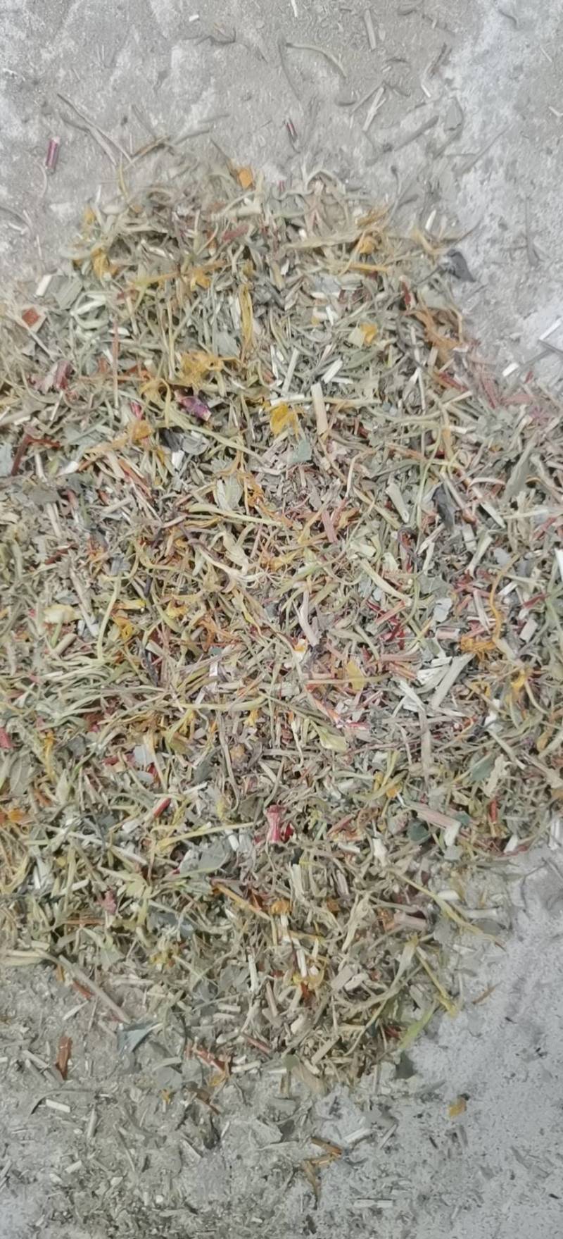 山银花全系