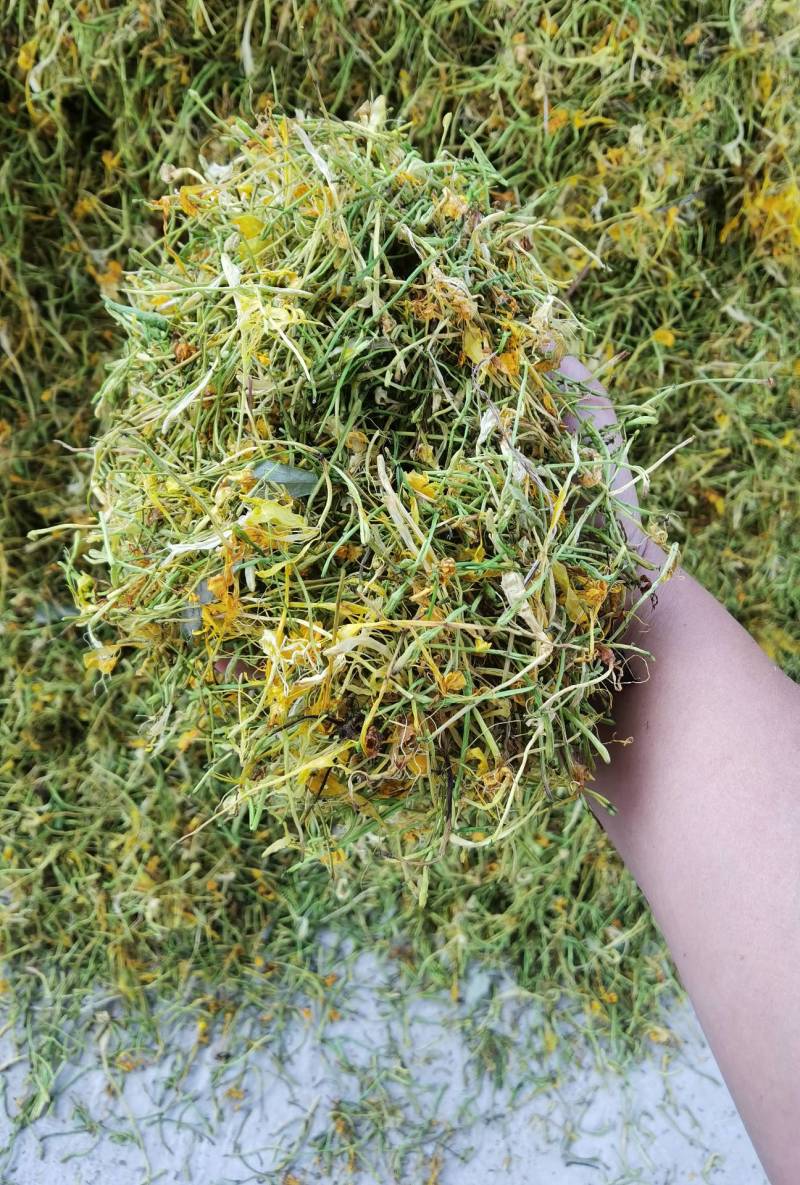 山银花全系