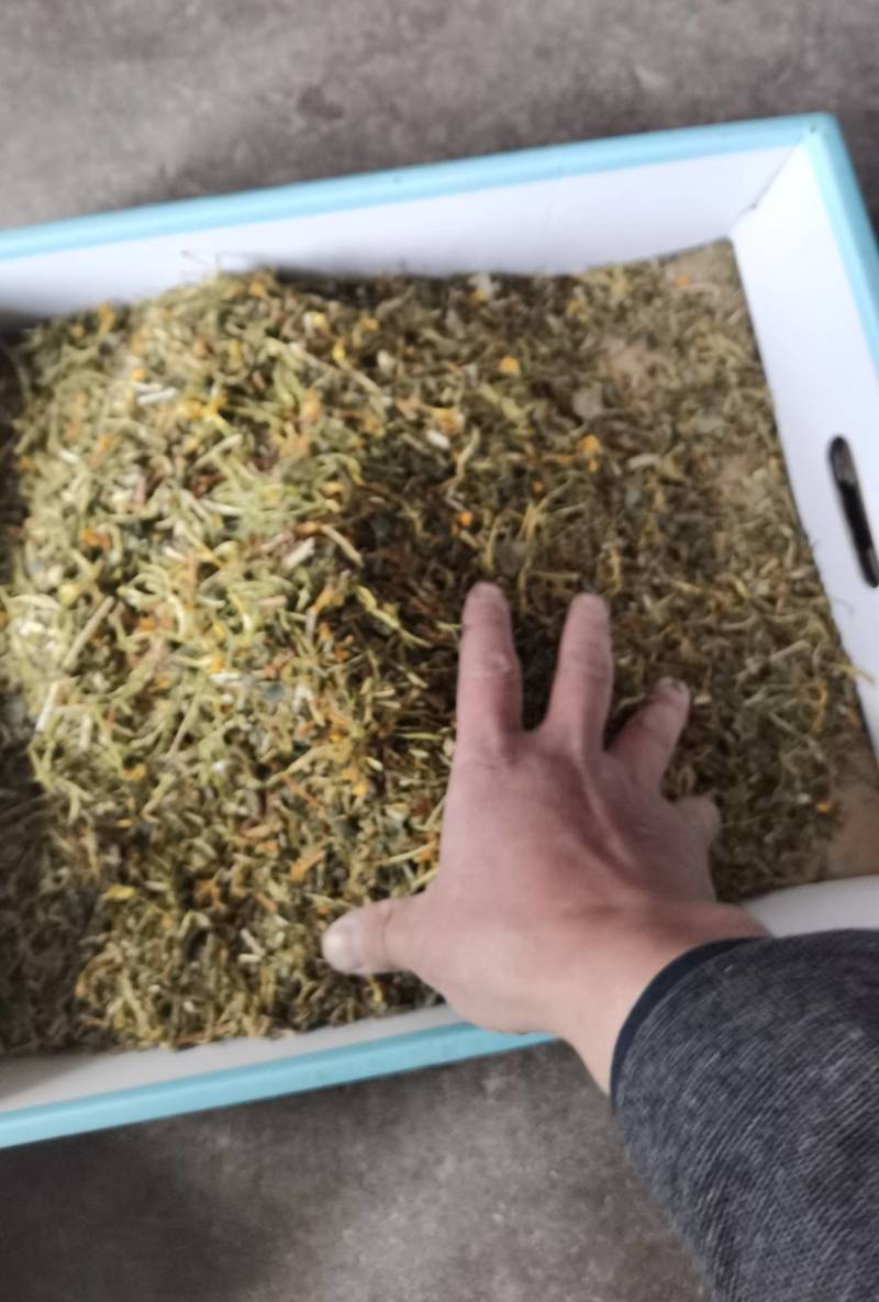 山银花全系
