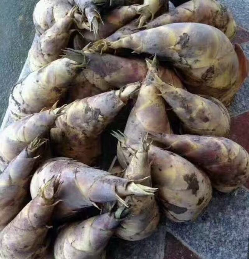 南浦马蹄笋批发，有需要的老板可以合作，，，，，