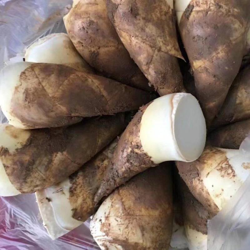 南浦马蹄笋批发，有需要的老板可以合作，，，，，