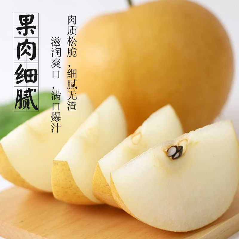 正宗秋月蜜梨，肉细无渣，脆甜可口！新鲜采摘！果园直达