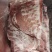 千喜鹤五花条，五花肉片，把子肉，打电话，五花肉片，把子