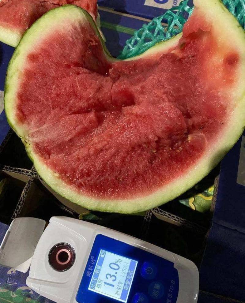 精品甘美4K，红玉嘉秀6号，质量保证，全国代发！