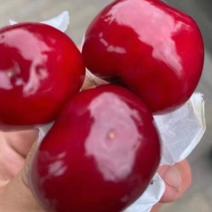 天水大樱桃：地标性水果，个大，酸甜可口