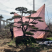 特价地径15造型油松景观松园林绿化小区公园绿化