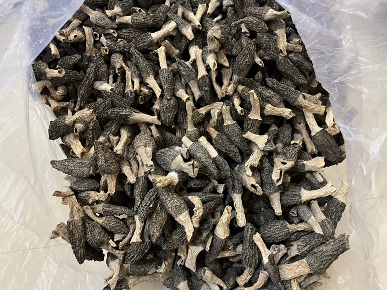 羊肚菌营养成分信息图表