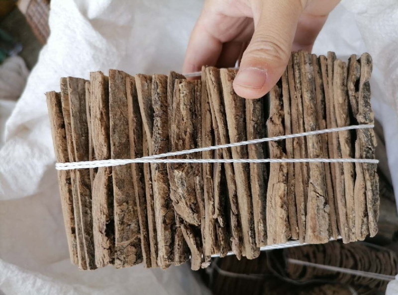 杜仲杜仲皮杜仲方块杜仲去皮炒杜仲整排捆绑杜仲