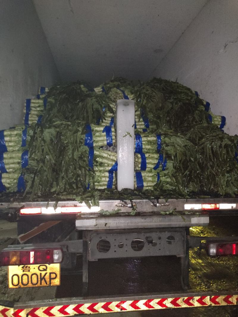 红叶香莴苣莴笋大量上市产地直发，品质保证货源充足