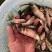 花鲢苗大头苗优质花鲢鳙鱼苗优质种苗胖头鱼