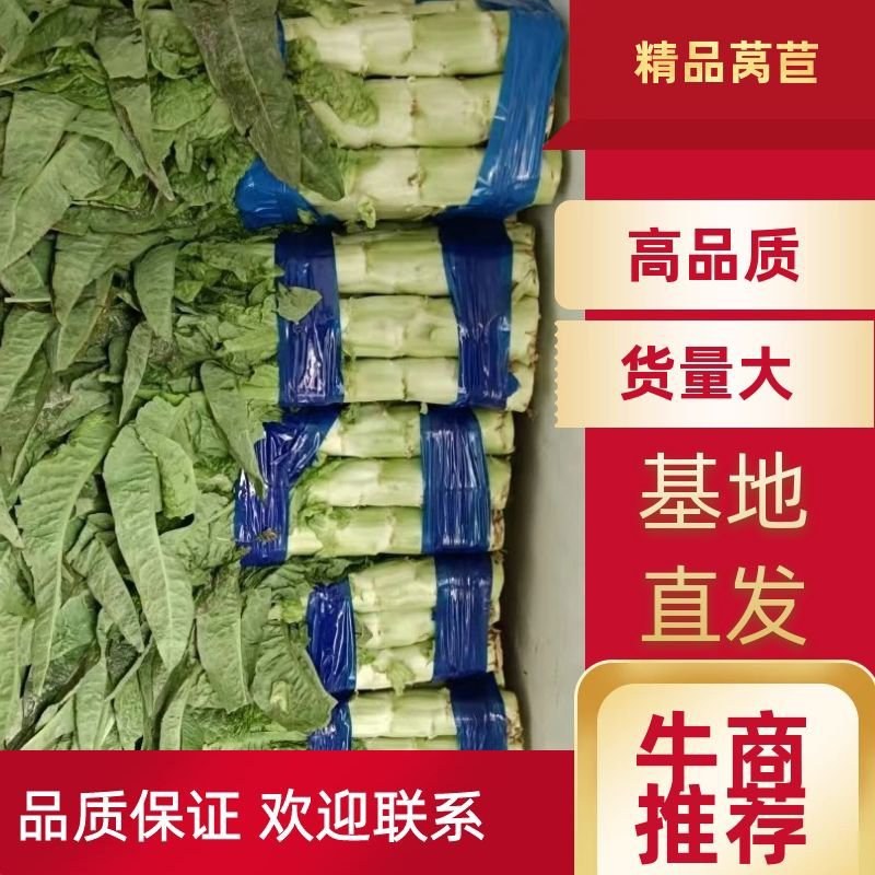 莴苣，莴笋大量供应，货源充足产地直发无空心视频看货