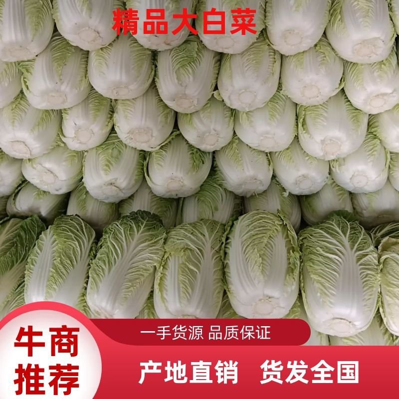 白菜，玲珑黄，大量上市，产地直发，可视频看货质量保证