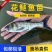 花鲢鱼苗各种规格品类齐全一手货源鱼厂直发视频看货诚信经营