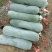 精品冬瓜白皮吊冬瓜产地直销货源充足大量供应全国发货