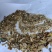 沙参沫子批发诚信经营量大从优支持混批量大从优