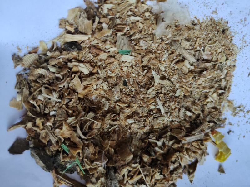 沙参沫子批发诚信经营量大从优支持混批量大从优