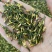 批发·莲子心500克莲子心花草茶莲子心干货