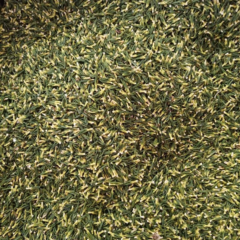 批发·莲子心500克莲子心花草茶莲子心干货