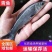 优质螺丝青鱼规格品种齐全鱼厂直销可视频看货欢迎电话联系