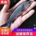 优质螺丝青鱼规格品种齐全鱼厂直销可视频看货欢迎电话联系