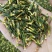 批发·莲子心500克莲子心花草茶莲子心干货