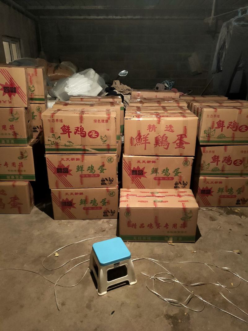 苏北高产蛋型土鸡受精种蛋可孵化农家散养新鲜土鸡种蛋