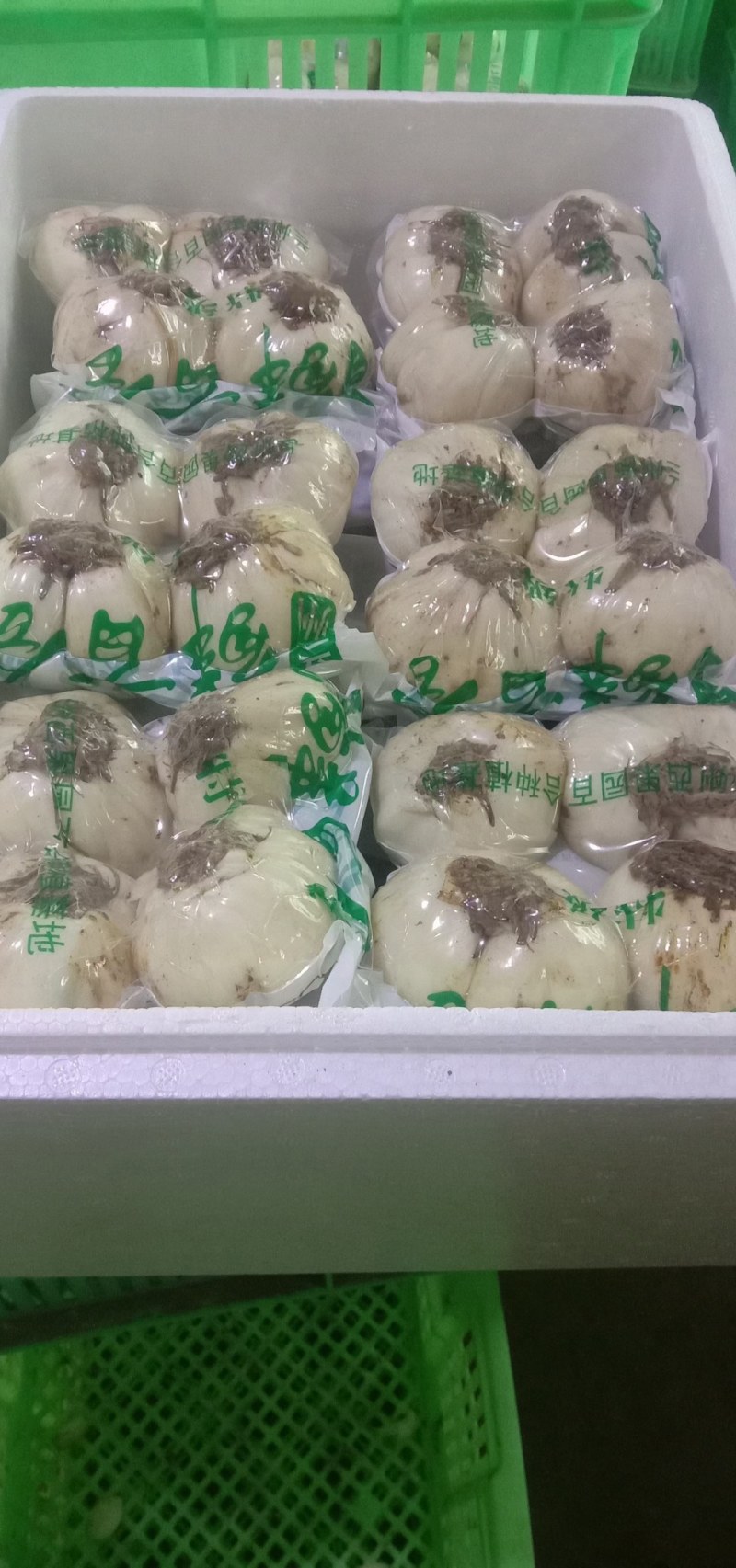 兰州特大果精美包装独头两头三头鲜百合，可定制各种规格！