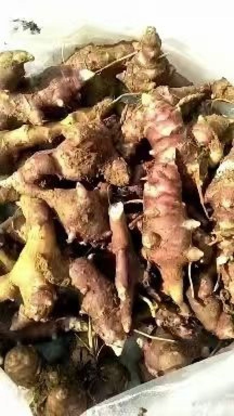 本人主要经营农副产品蔬菜，辣椒