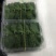 紫苏叶，中药材自家种植常年供货基地直发价格美丽