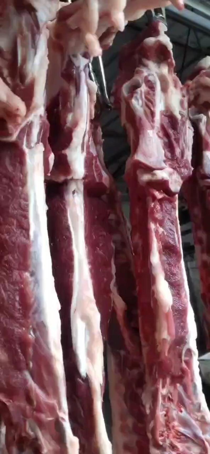 加肉羊蝎子厂家常年有货、用质量说话的一款好产品。