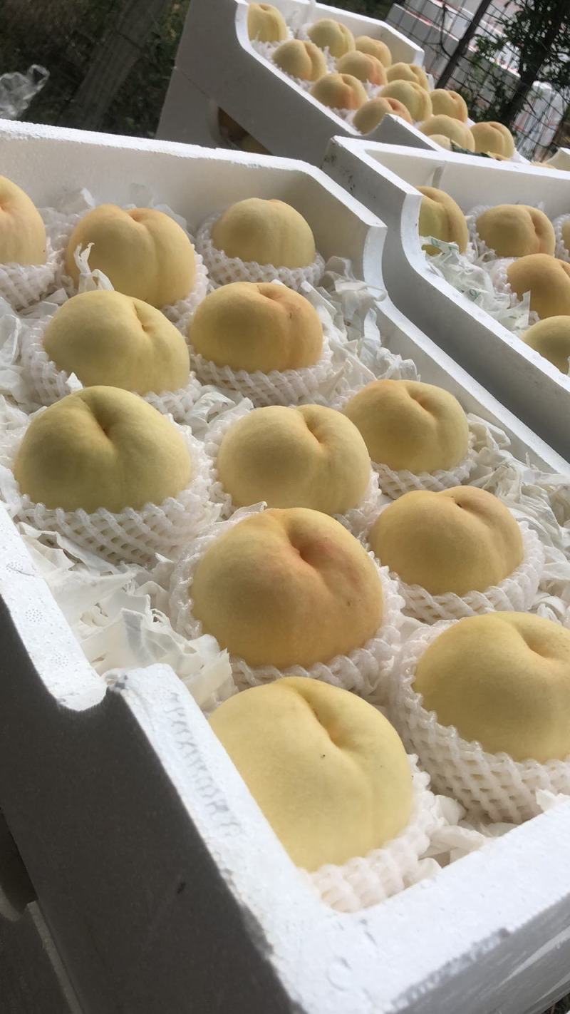 桃子，鲜切菊花