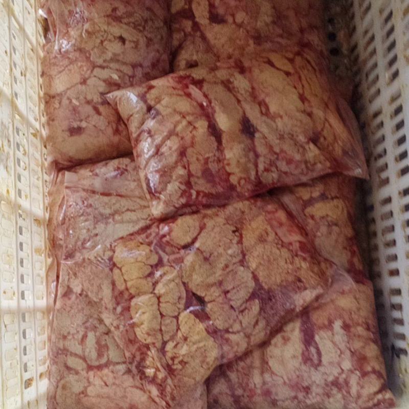 精品速冻鲤鱼籽一手货源视频看货品质保证量大从优