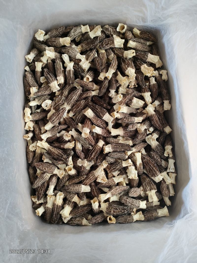 羊肚菌干品云南干羊肚菌产地批发一件代发包邮
