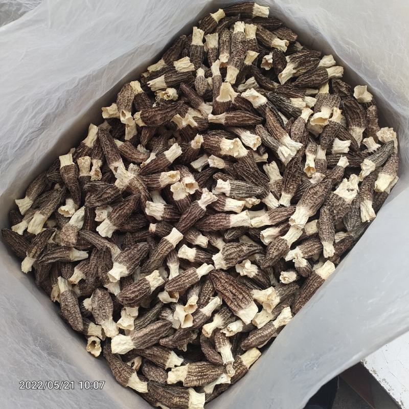 羊肚菌干品云南干羊肚菌产地批发一件代发包邮