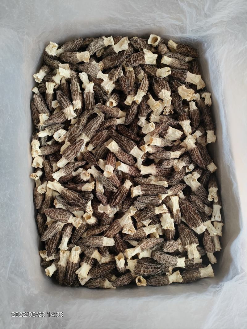 羊肚菌干品云南干羊肚菌产地批发一件代发包邮