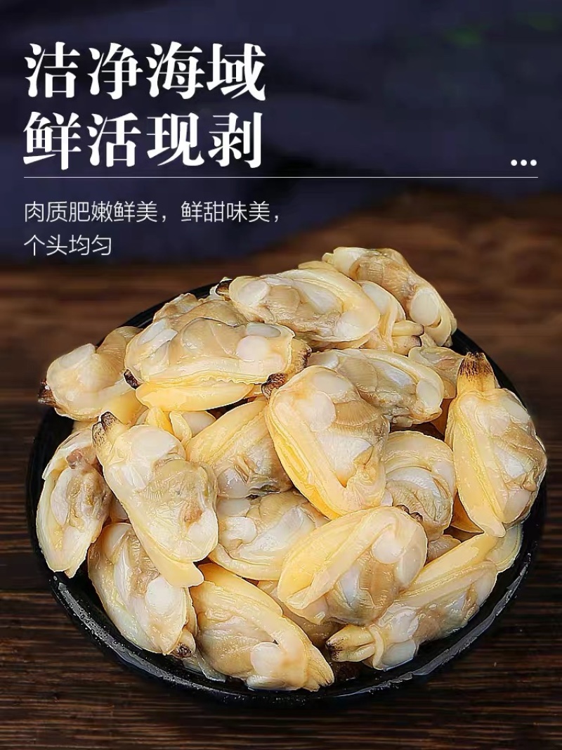 花甲肉蛤蜊肉花蛤肉单冻无沙无冰大规格海鲜批发