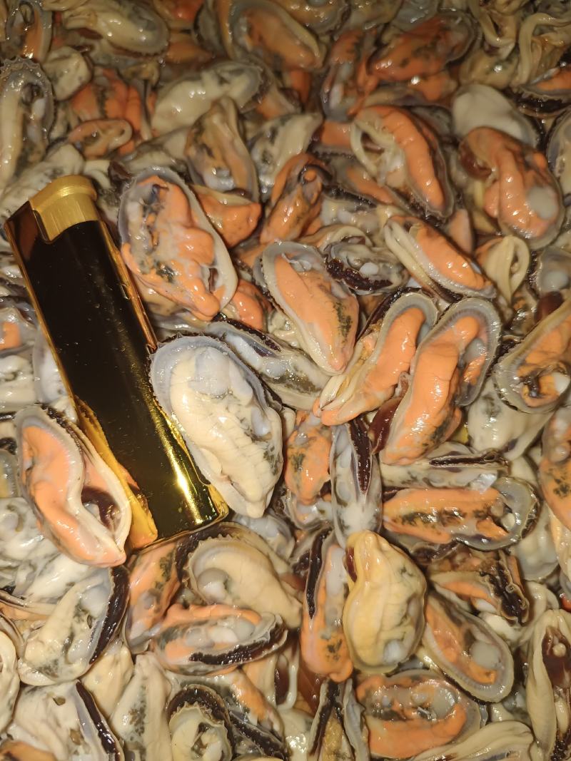 青口贝当天现开新鲜青口肉淡菜肉