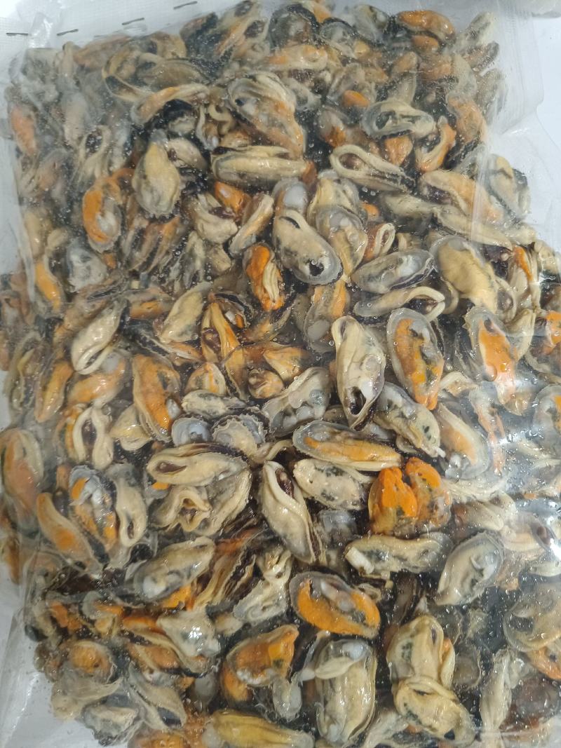 青口贝当天现开新鲜青口肉淡菜肉