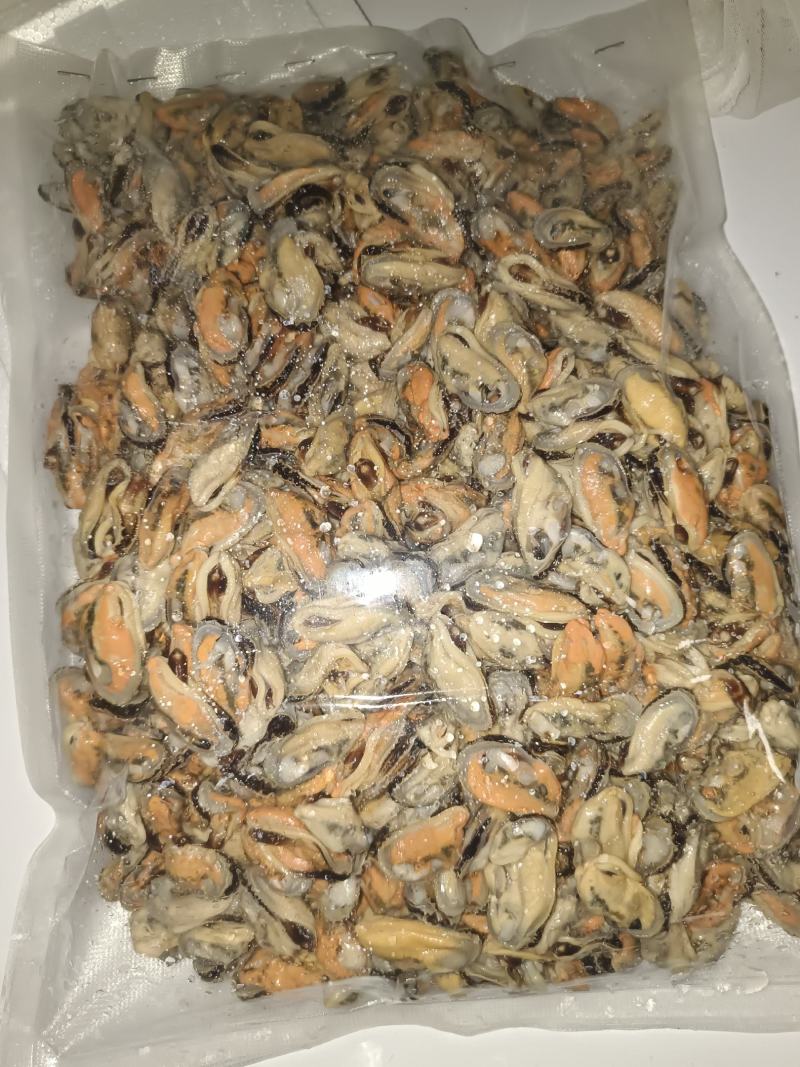 青口贝当天现开新鲜青口肉淡菜肉