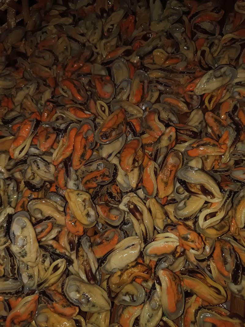 青口贝当天现开新鲜青口肉淡菜肉