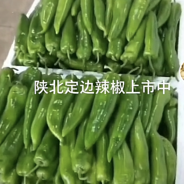 辣椒