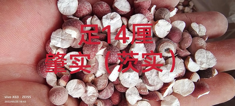 芡实肇实本地货各种规格新货无硫无碎省内包邮