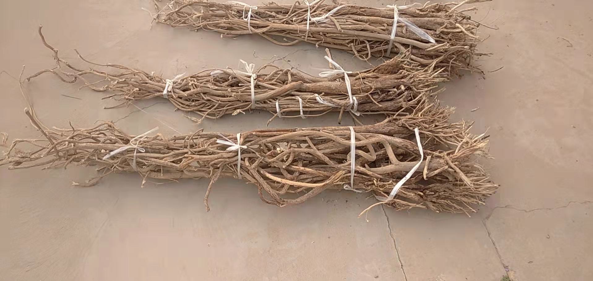 中药材搭配示意图