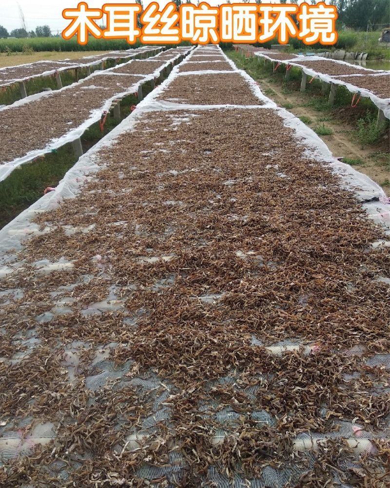 山东头茬毛木耳片大肉厚皮耳木耳丝餐饮食堂实惠食材