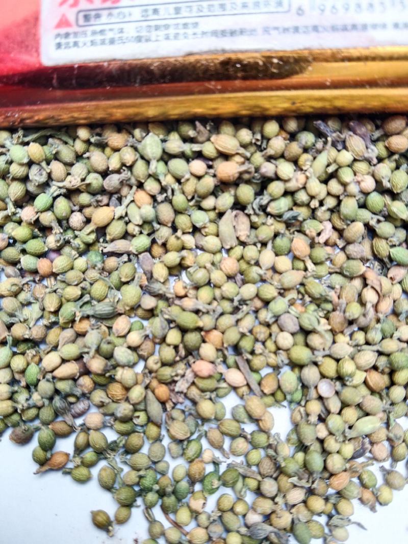 百蕊草种子大量现货，价格优惠欢迎各位老板前来选购