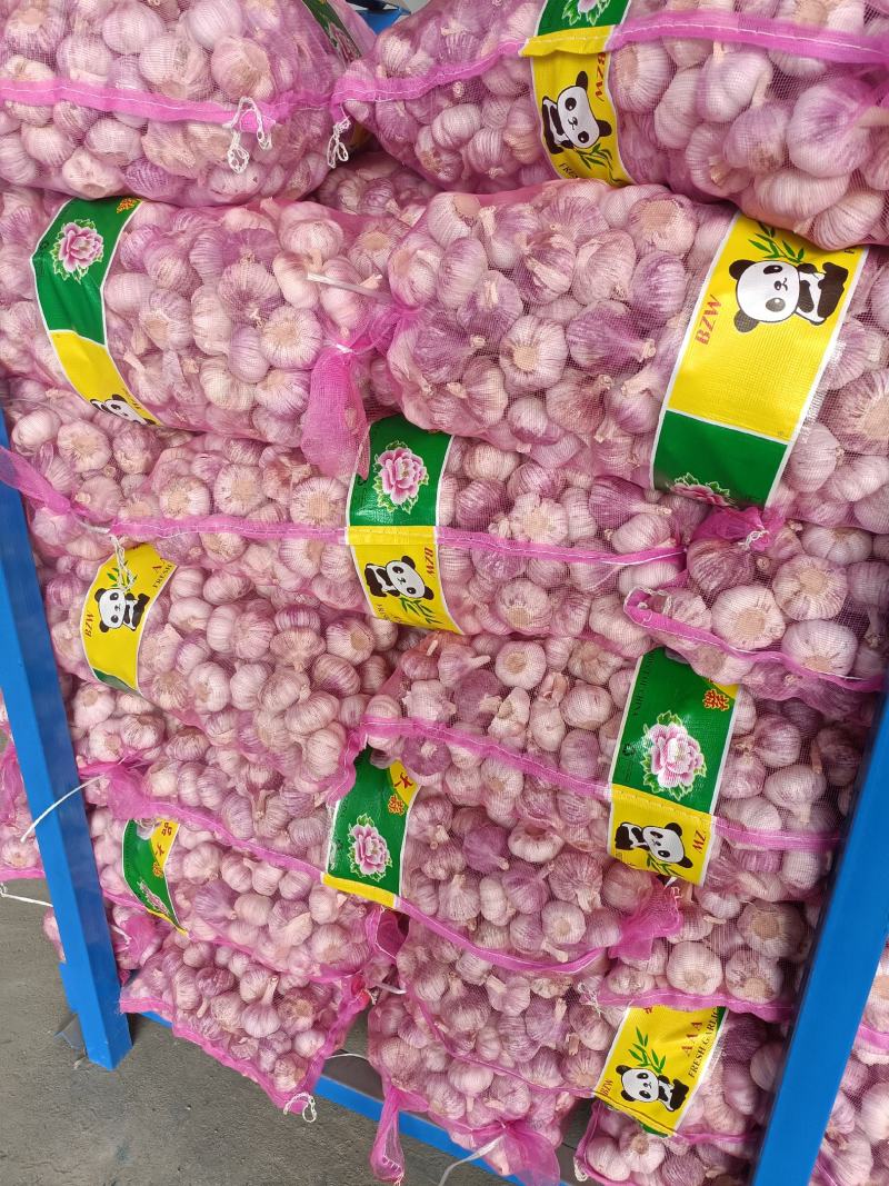 邳州新蒜分级蒜精品大蒜全国发货诚信经营