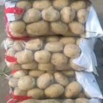 昌黎土豆大量上市三两以上四两以上各种规格