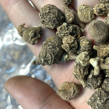 西藏野生三七批发市场实体，电商微商实体专供，一件代发