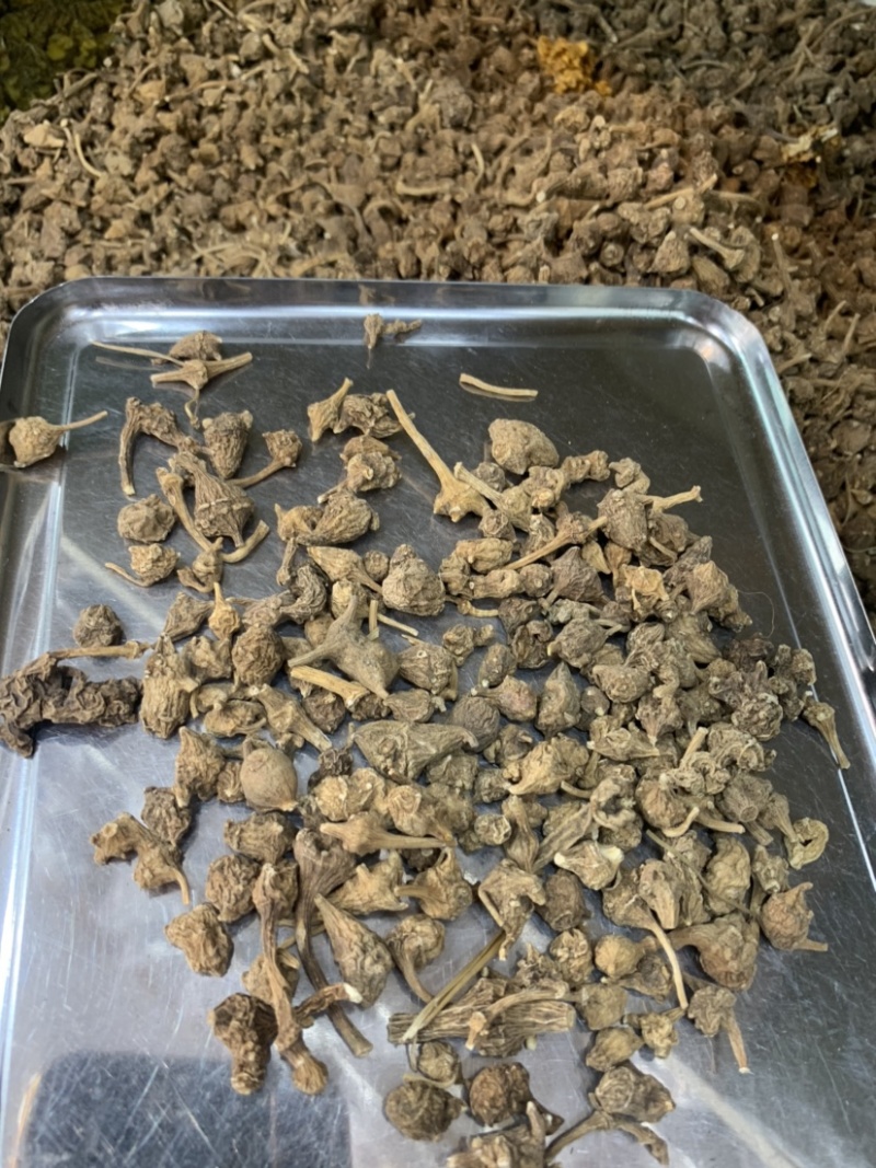 西藏野生三七批发市场实体，电商微商实体专供，一件代发