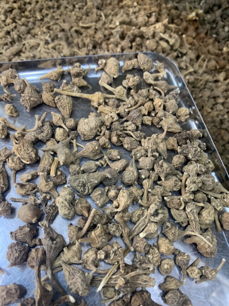 西藏野生三七批发市场实体，电商微商实体专供，一件代发